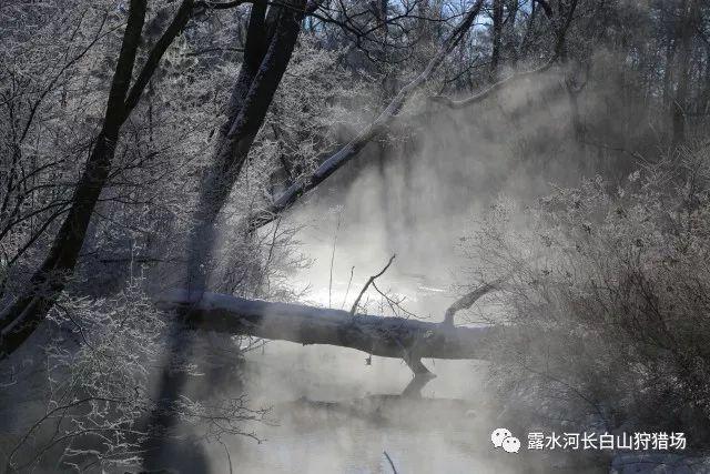 每日一句：人总有一种情感，不肆意，也不张扬，可只要你提及，我便热泪盈眶。人总有一种信念，不为输赢，不求名利.........