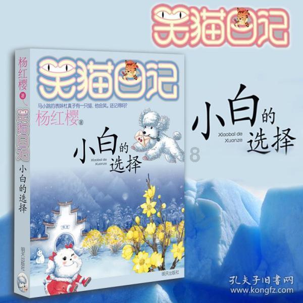 小猫钓鱼游戏龙王版有船