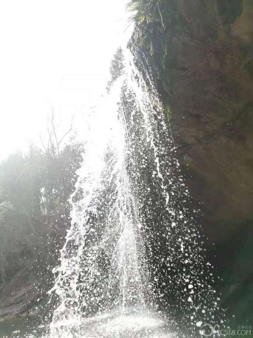 救援卷耳兔
