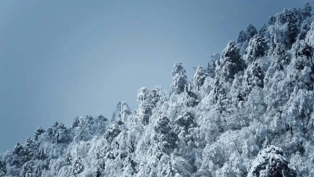 仁清法师：当你发心为众生服务的时候