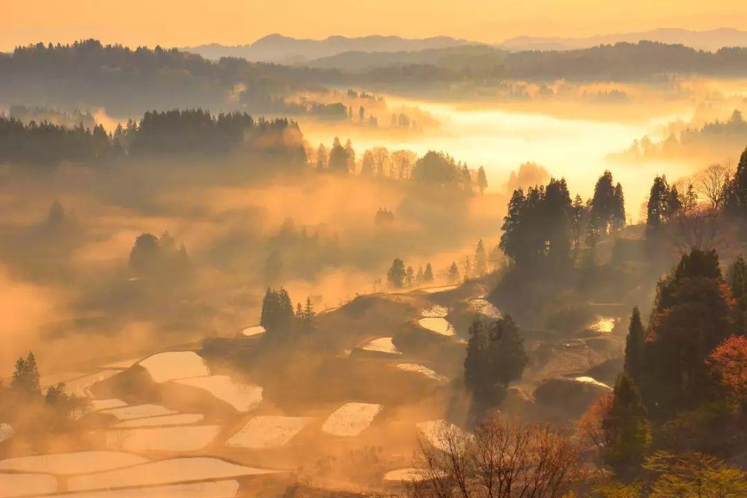 中国石油浙江销售衢州分公司:雪天里的加油站大姐很暖心
