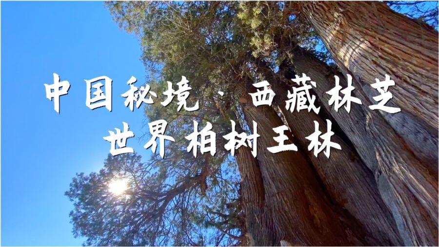 发现知识星球平台-为什么个子非常高的人寿命会比较短呢带你进入无限学习世界