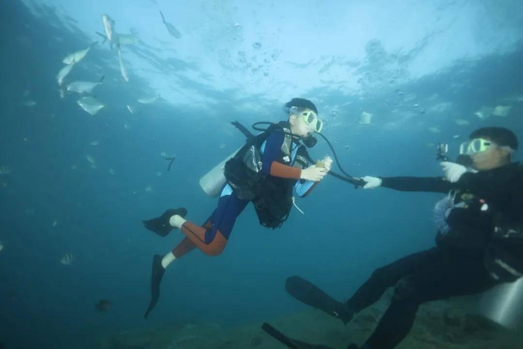 寻找火鸡
