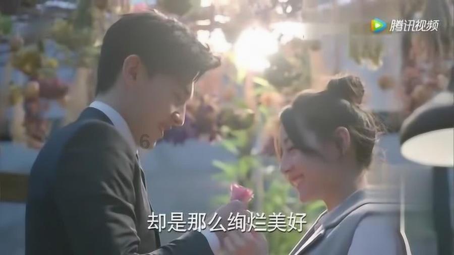 逃离天鹅森林