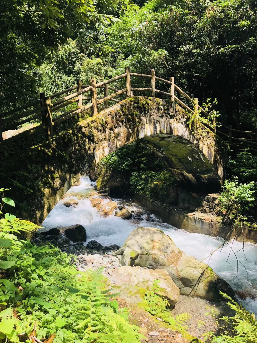 逃离蓝色之林