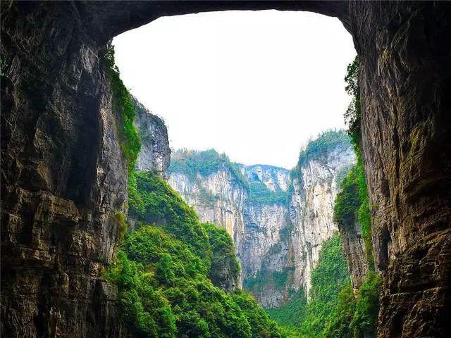 针织裙