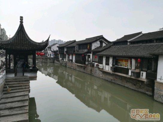 救援小棕兔