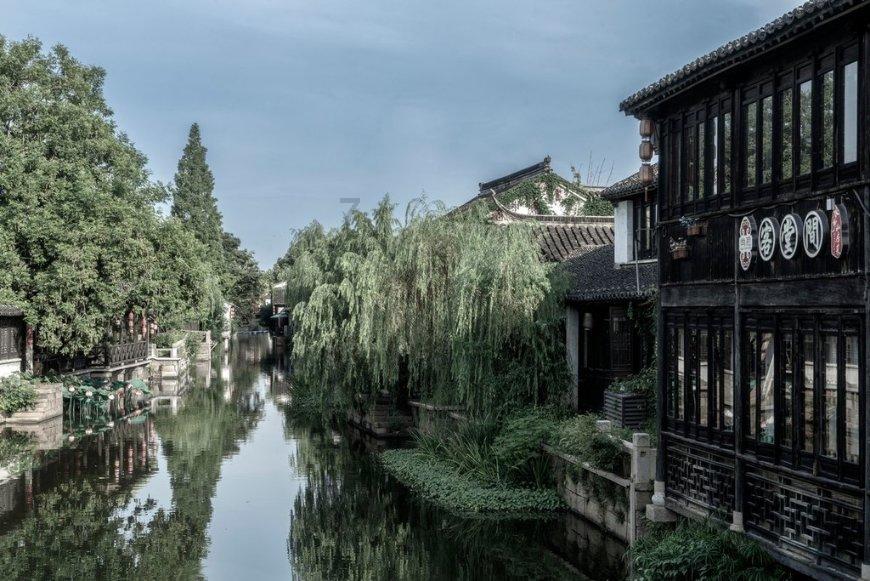 为什么离婚了，还能越嫁越好？游戏画面